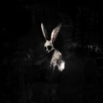 GHØSTKID “FOLLOW THE WHITE RABBIT” (2026): Темний industrial-metalcore та занурення у власну психологію